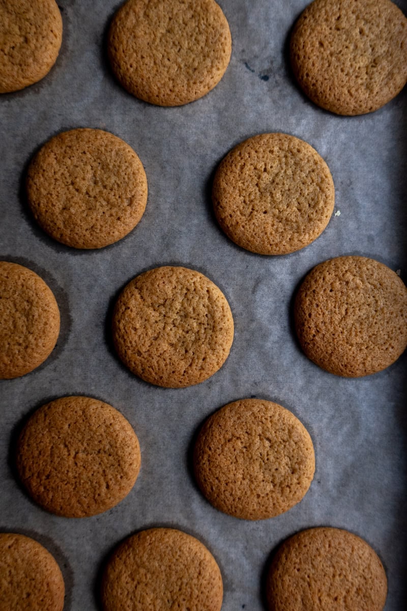 Ginger biscuits baked on a tray - Georgie Mullen