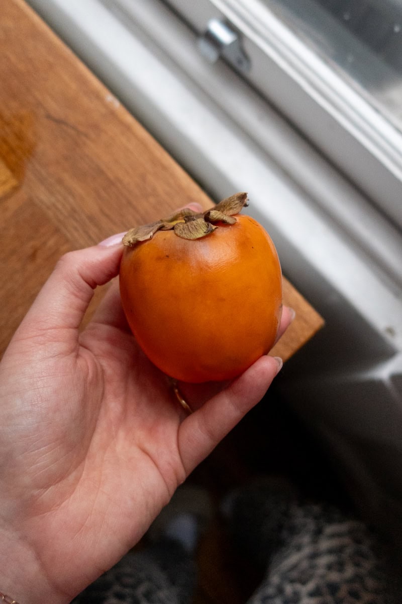 Hand holding a Persimmon - Georgie Mullen
