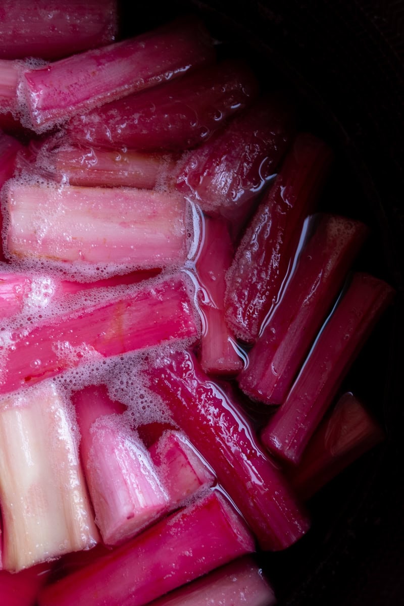 Pink Rhubarb Being Poached - Georgie Mullen